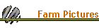 Farm Pictures