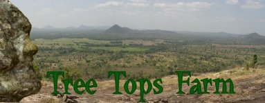 Tree Tops Farm